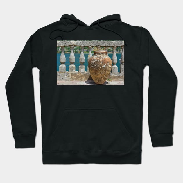 Vase on Our Lady of the Rock Hoodie by jojobob